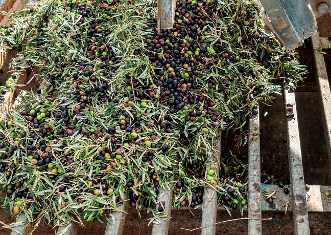 ??????????????????????