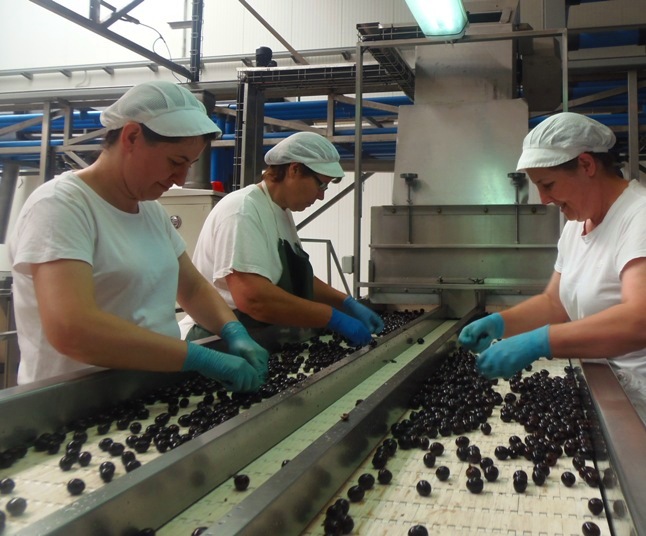 ??????????????????????