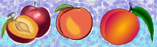 ciruela-nectarina- melo