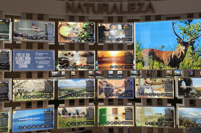 pangea agencia madrid