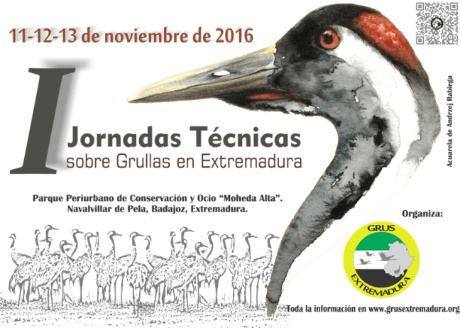 cartel-provisional-2-0_baja