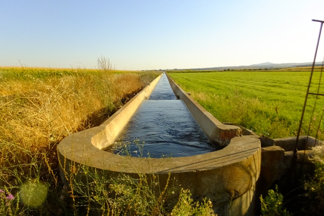 acequia
