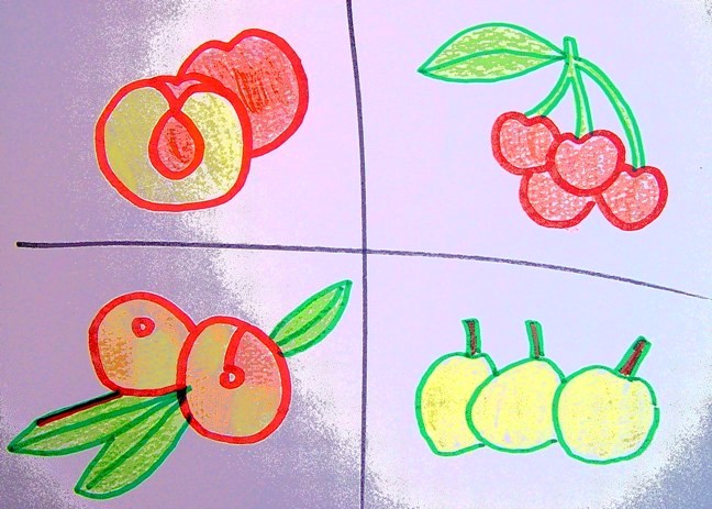 ciruelas nectarinas etc