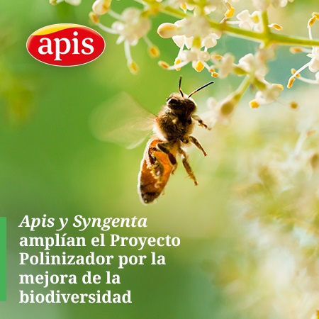 Imagen Polinizador