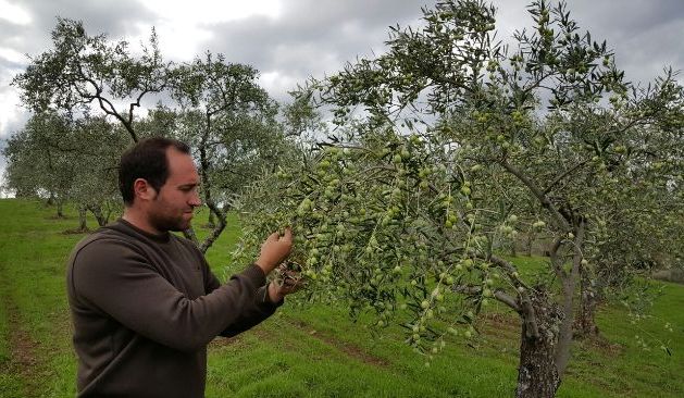 40 foto miguel en olivar - copia