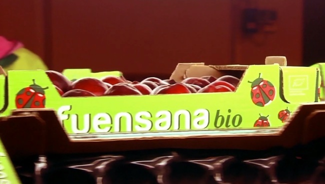 22 fuensana bio