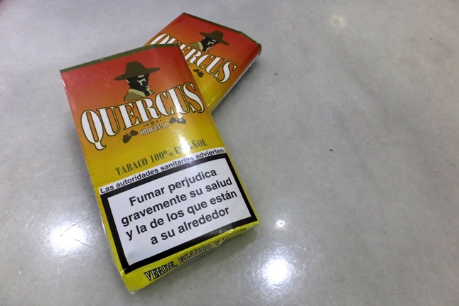 12 quercus_tabaco