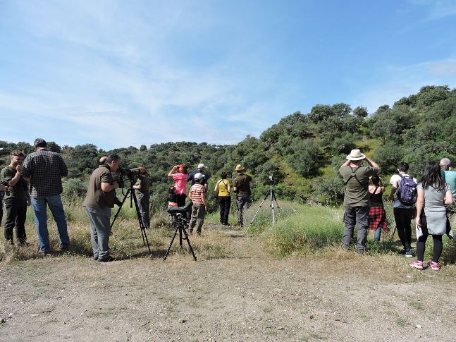 74 Observadores de aves