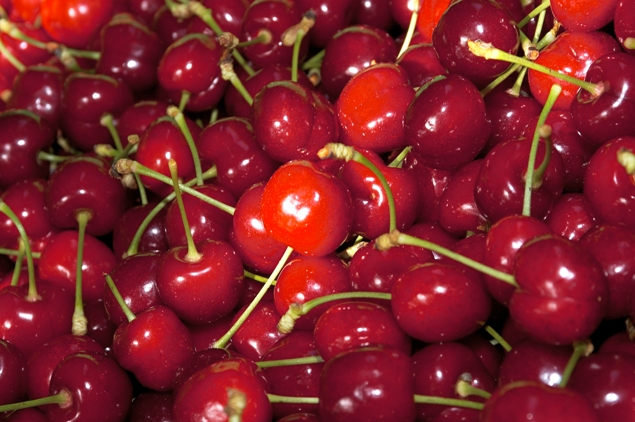 Cereza del Jerte