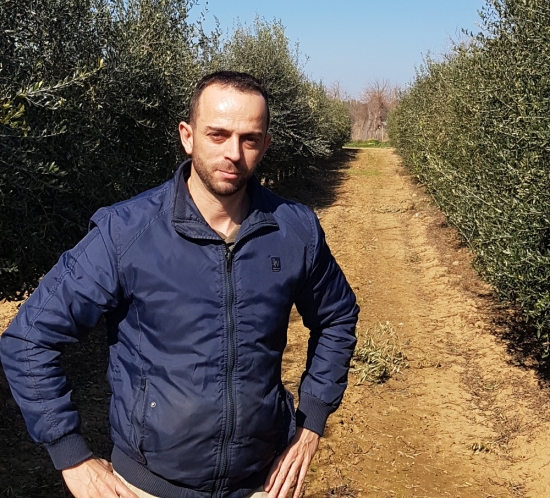 52 olivar secano citytex