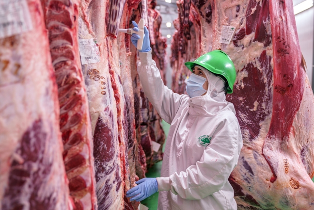 22 enccinar humienta