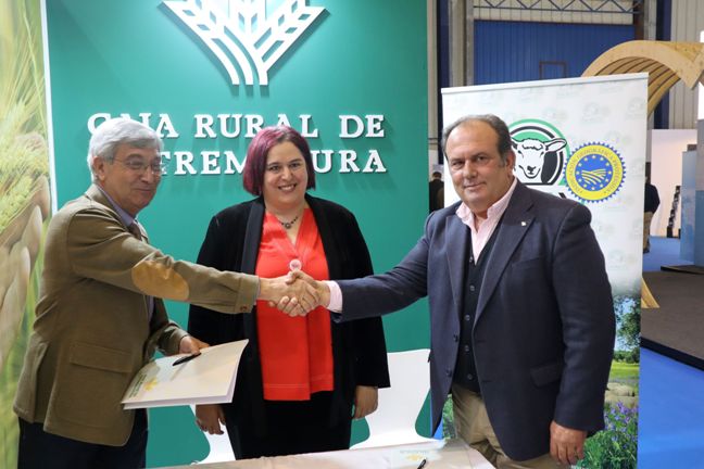 caja rural extre