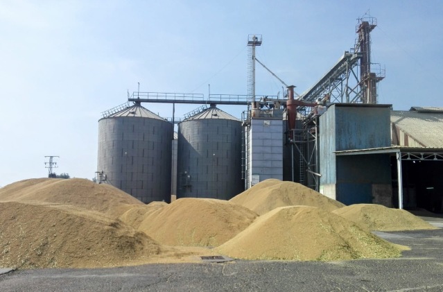 18 patio coop palazuelo