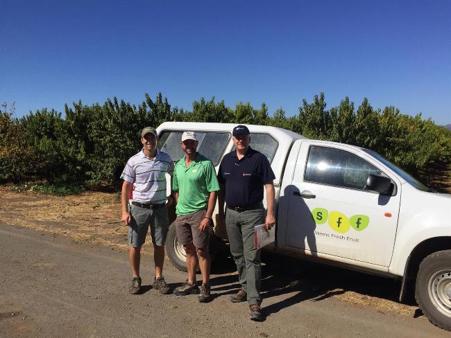 30-31 aliseda sudafrica