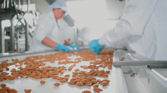 72 almendra seleccion